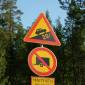 dag14 - Honningsvag-Saariselkä