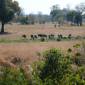 ID77 - selati-camp