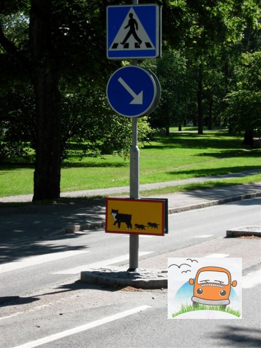 DSCN6121_Uppsala35
